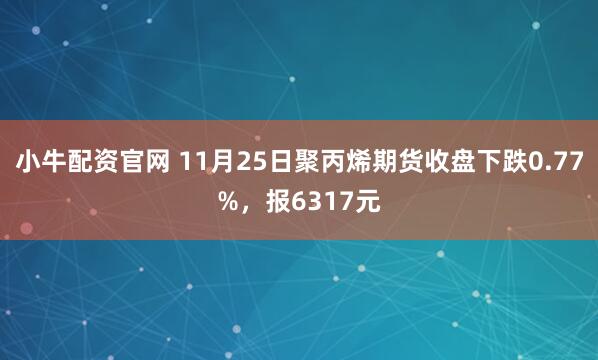 小牛配资官网 11月25日聚丙烯期货收盘下跌0.77%，报6317元